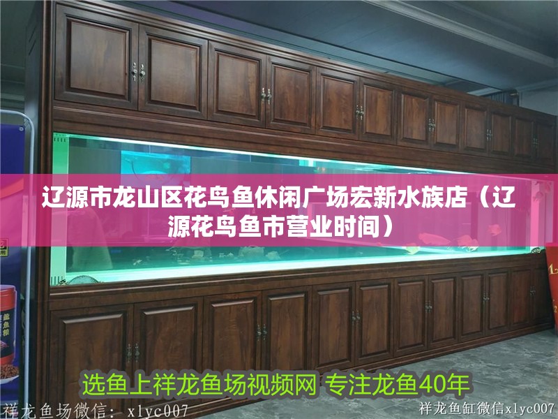 遼源市龍山區花鳥魚休閑廣場宏新水族店（遼源花鳥魚市營業時間）