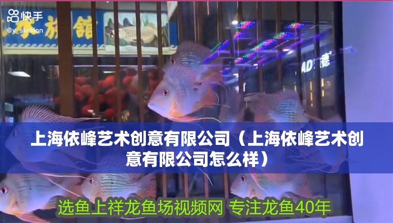 上海依峰藝術創意有限公司（上海依峰藝術創意有限公司怎么樣）