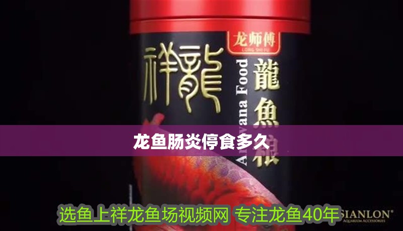 龍魚腸炎停食多久 龍魚腸炎停食多久 龍魚百科