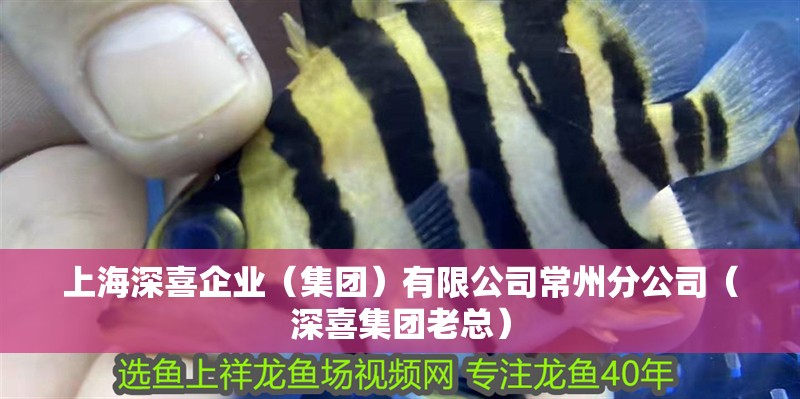 上海深喜企業(yè)（集團(tuán)）有限公司常州分公司（深喜集團(tuán)老總）