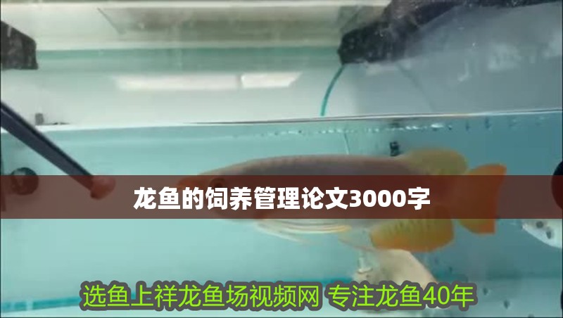 龍魚的飼養管理論文3000字