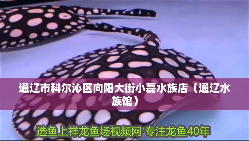 通遼市科爾沁區(qū)向陽大街小磊水族店（通遼水族館）