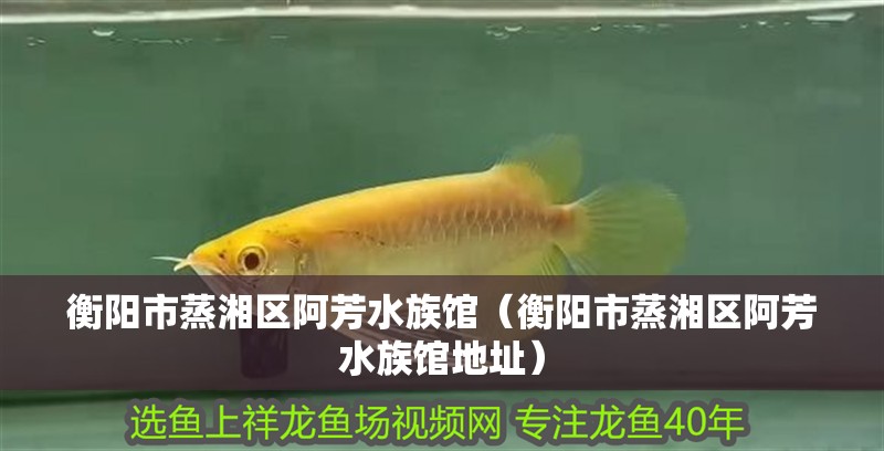 衡陽市蒸湘區阿芳水族館（衡陽市蒸湘區阿芳水族館地址）