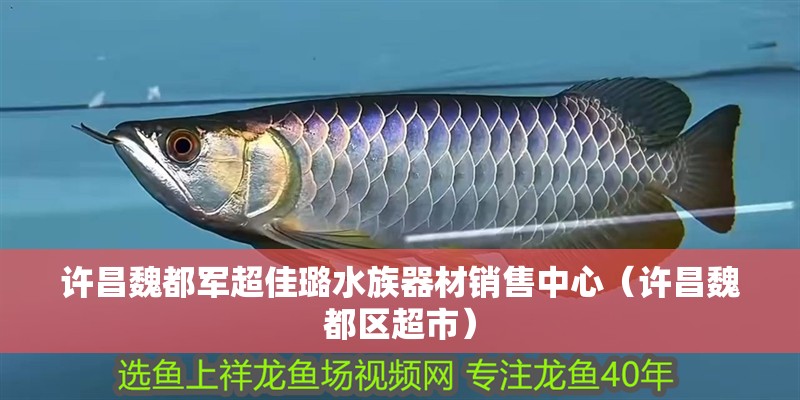 許昌魏都軍超佳璐水族器材銷售中心（許昌魏都區超市）