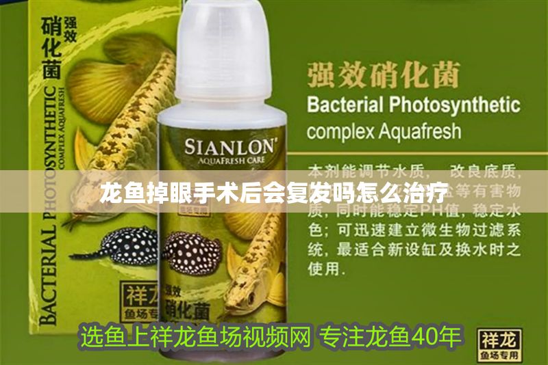 龍魚掉眼手術后會復發嗎怎么治療