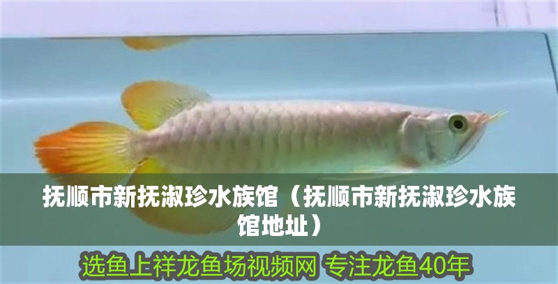 撫順市新?lián)崾缯渌屦^（撫順市新?lián)崾缯渌屦^地址）