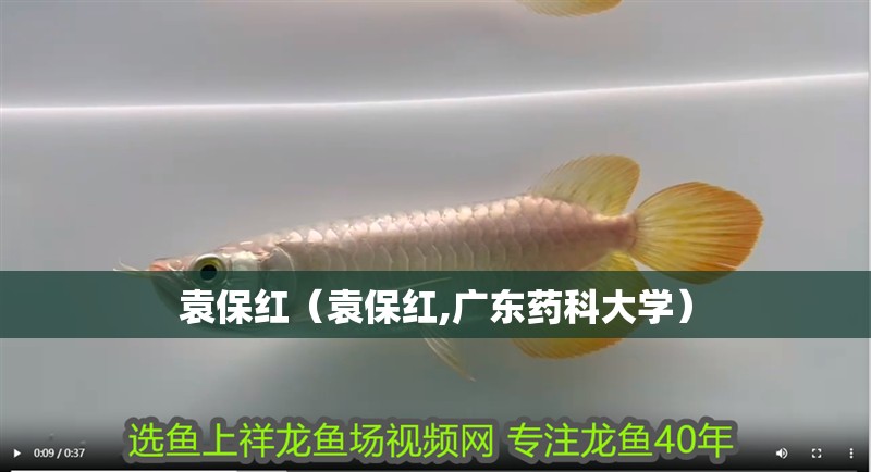 袁保紅（袁保紅,廣東藥科大學(xué)）