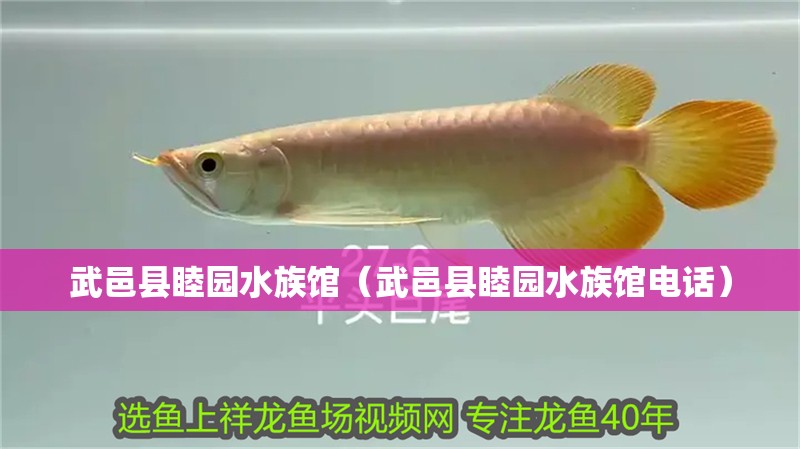 武邑縣睦園水族館（武邑縣睦園水族館電話(huà)）