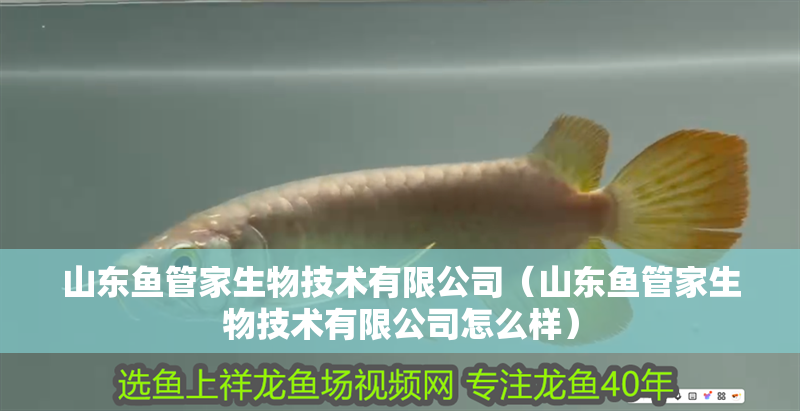 山東魚管家生物技術有限公司（山東魚管家生物技術有限公司怎么樣）