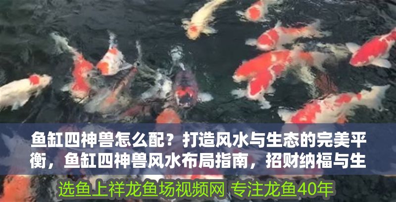 魚缸四神獸怎么配？打造風(fēng)水與生態(tài)的完美平衡，魚缸四神獸風(fēng)水布局指南，招財納福與生態(tài)平衡的完美結(jié)合
