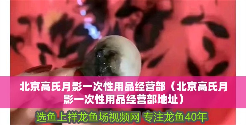 北京高氏月影一次性用品經營部（北京高氏月影一次性用品經營部地址）
