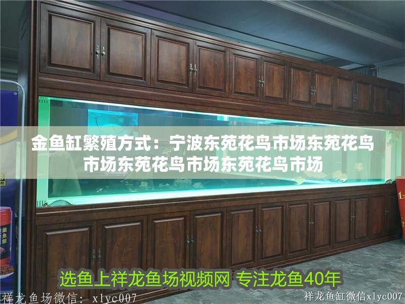 金魚缸繁殖方式：寧波東苑花鳥市場東苑花鳥市場東苑花鳥市場東苑花鳥市場