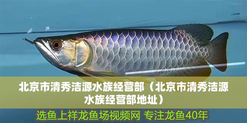 北京市清秀潔源水族經營部(北京市清秀潔源水族經營部地址) 全國水族館企業名錄 第2張 北京市清秀潔源水族經營部(北京市清秀潔源水族經營部地址) 北京市清秀潔源水族經營部(北京市清秀潔源水族經營部地址) 全國水族館企業名錄 第2張