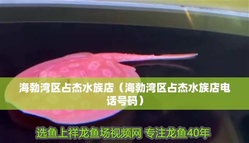 海勃灣區(qū)占杰水族店（海勃灣區(qū)占杰水族店電話號(hào)碼）