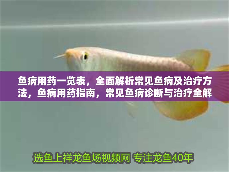 魚病用藥一覽表，全面解析常見(jiàn)魚病及治療方法，魚病用藥指南，常見(jiàn)魚病診斷與治療全解析