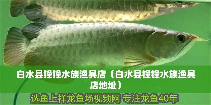 白水縣鋒鋒水族漁具店（白水縣鋒鋒水族漁具店地址）