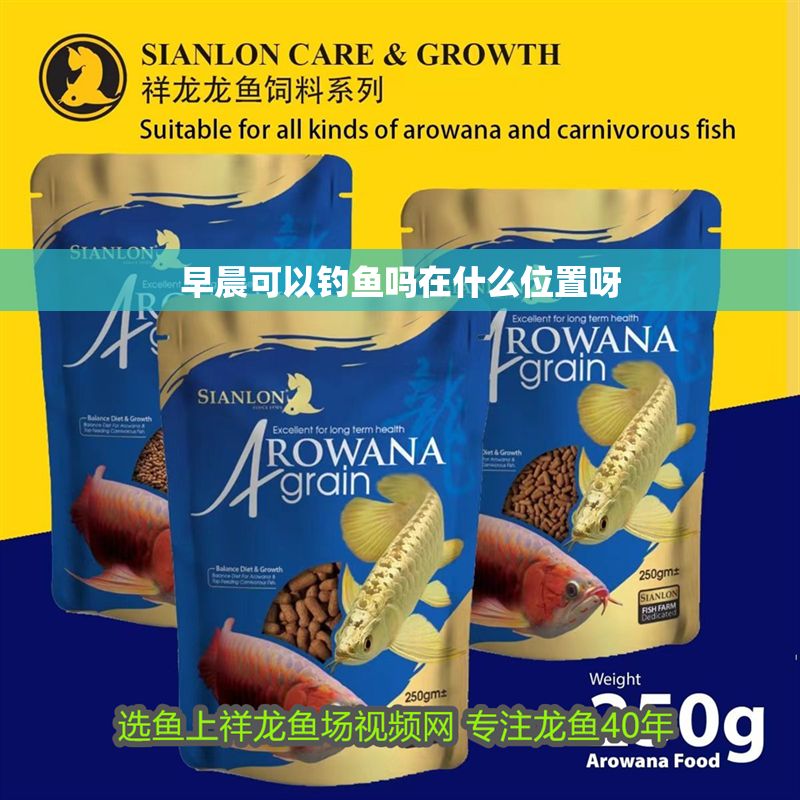 早晨可以釣魚嗎在什么位置呀