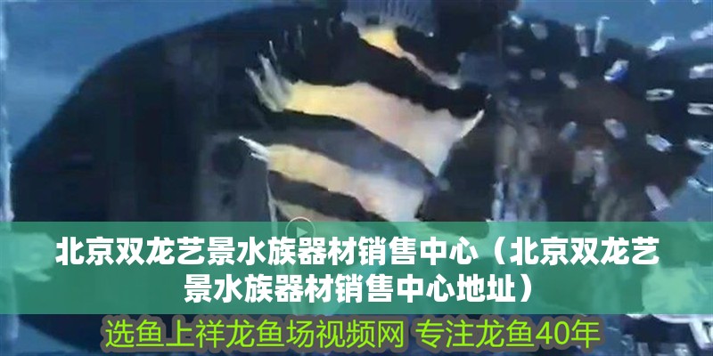 北京雙龍藝景水族器材銷(xiāo)售中心（北京雙龍藝景水族器材銷(xiāo)售中心地址）