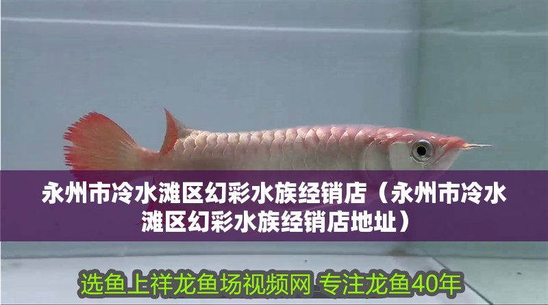永州市冷水灘區(qū)幻彩水族經(jīng)銷店（永州市冷水灘區(qū)幻彩水族經(jīng)銷店地址）
