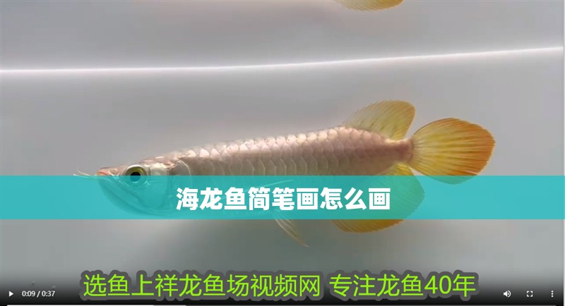 海龍魚簡筆畫怎么畫