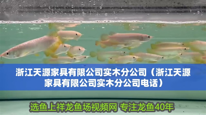 浙江天源家具有限公司實木分公司（浙江天源家具有限公司實木分公司電話）