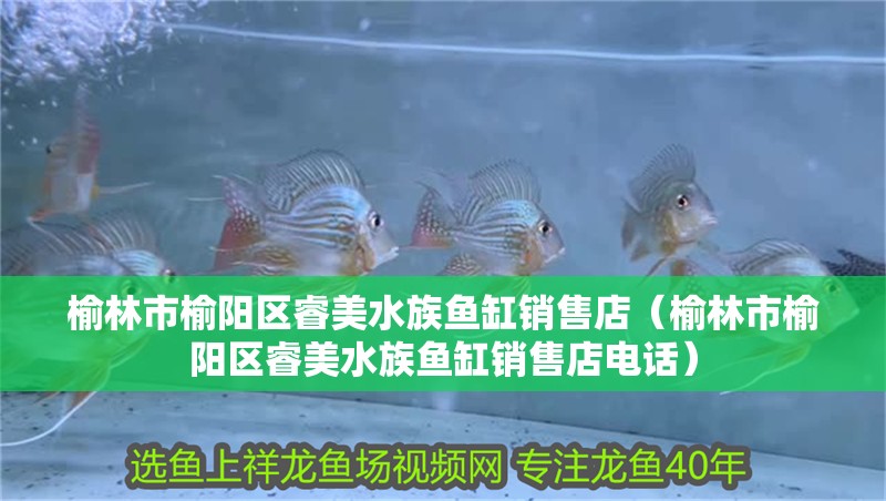 榆林市榆陽區(qū)睿美水族魚缸銷售店（榆林市榆陽區(qū)睿美水族魚缸銷售店電話）
