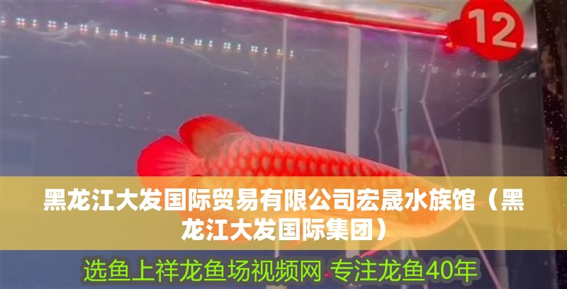 黑龍江大發(fā)國際貿(mào)易有限公司宏晟水族館（黑龍江大發(fā)國際集團(tuán)）
