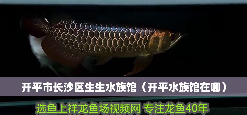 開平市長(zhǎng)沙區(qū)生生水族館（開平水族館在哪）