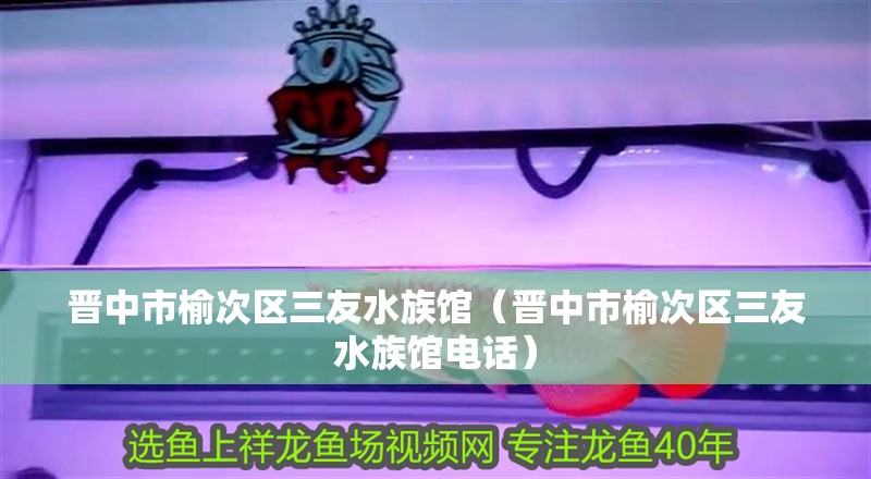 晉中市榆次區(qū)三友水族館（晉中市榆次區(qū)三友水族館電話）