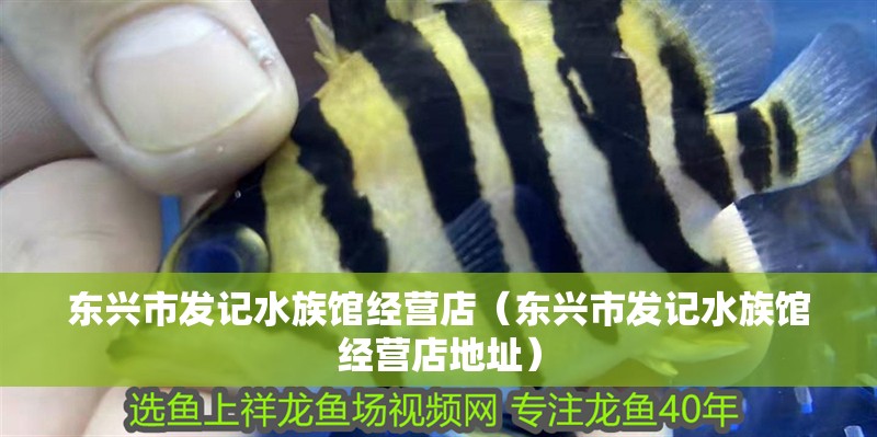 東興市發記水族館經營店（東興市發記水族館經營店地址）