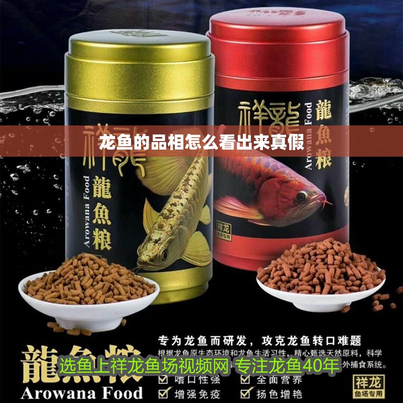龍魚的品相怎么看出來真假