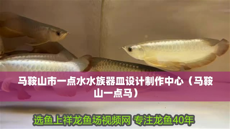 馬鞍山市一點水水族器皿設計制作中心（馬鞍山一點馬）