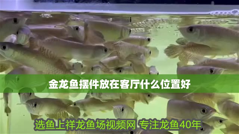 金龍魚擺件放在客廳什么位置好