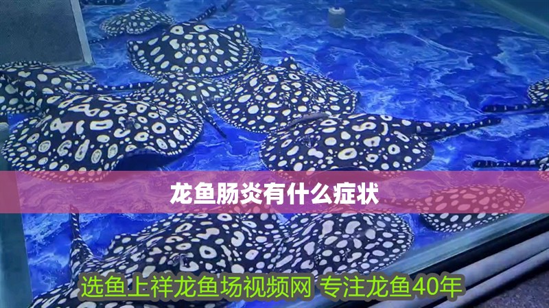 龍魚腸炎有什么癥狀
