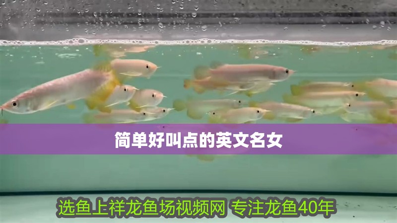 簡單好叫點的英文名女
