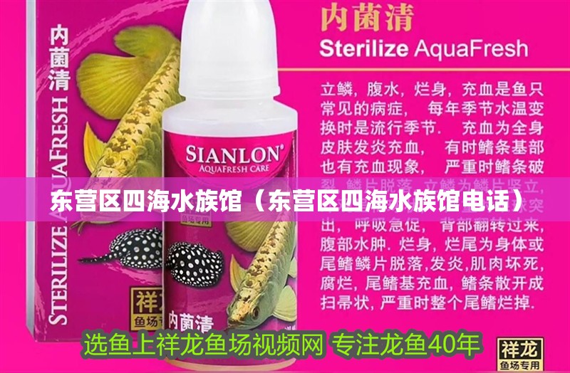 東營區四海水族館（東營區四海水族館電話）