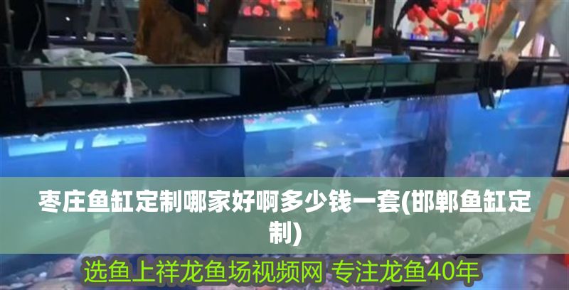 棗莊魚缸定制哪家好啊多少錢一套(邯鄲魚缸定制)