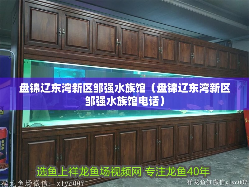 盤錦遼東灣新區鄒強水族館（盤錦遼東灣新區鄒強水族館電話）