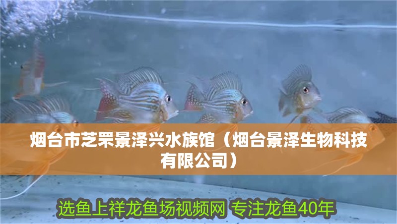 煙臺市芝罘景澤興水族館（煙臺景澤生物科技有限公司）