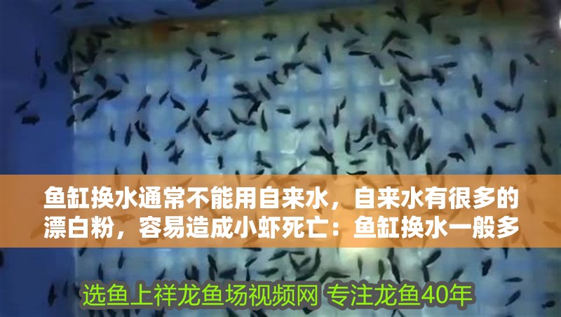 魚缸換水通常不能用自來水，自來水有很多的漂白粉，容易造成小蝦死亡：魚缸換水一般多久換一次？