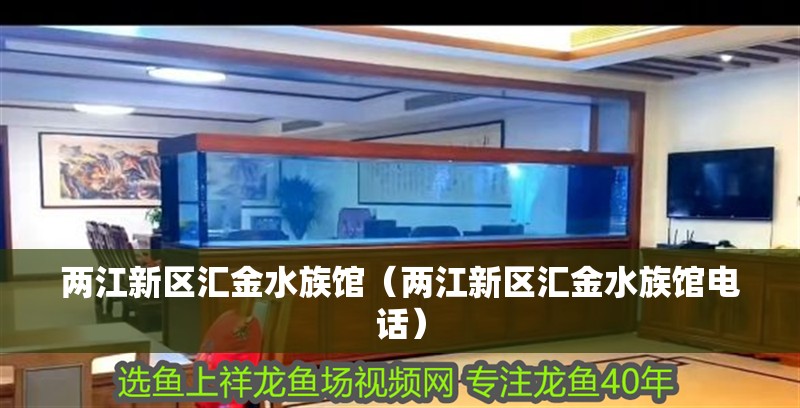 兩江新區匯金水族館（兩江新區匯金水族館電話）