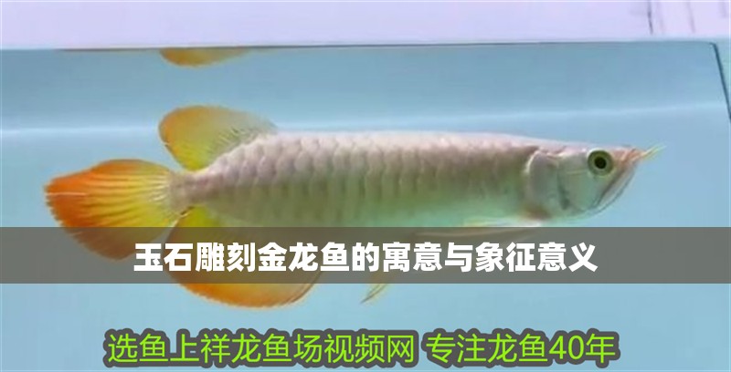 玉石雕刻金龍魚的寓意與象征意義