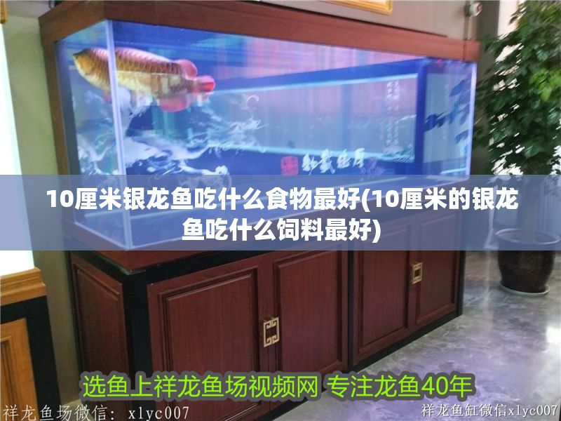 祥龍水族館加盟賺錢（祥龍水族館加盟優勢）