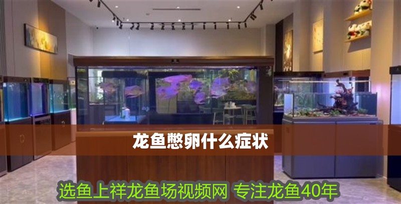 龍魚憋卵什么癥狀