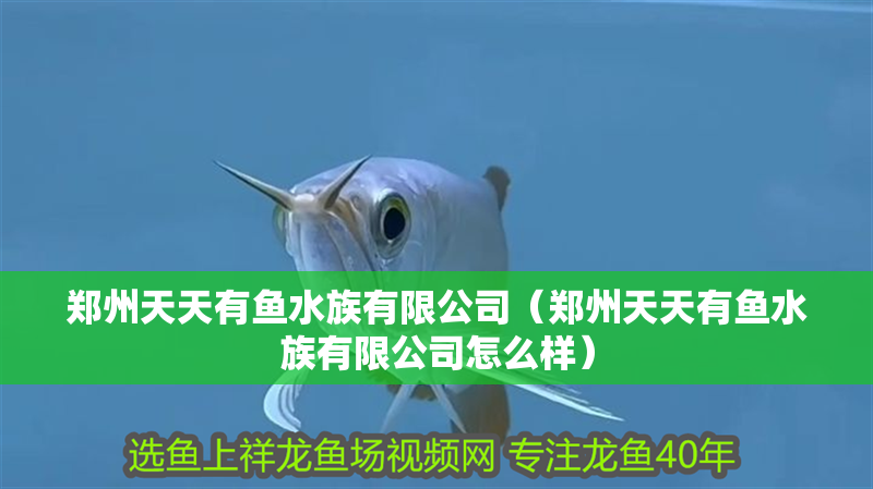 鄭州天天有魚水族有限公司（鄭州天天有魚水族有限公司怎么樣）