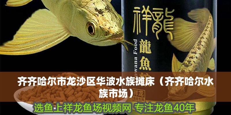 齊齊哈爾市龍沙區(qū)華波水族攤床（齊齊哈爾水族市場）