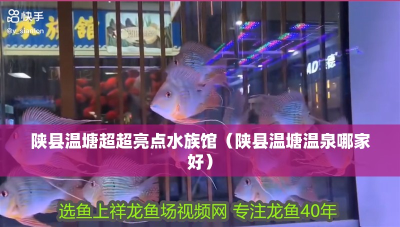 陜縣溫塘超超亮點水族館（陜縣溫塘溫泉哪家好）