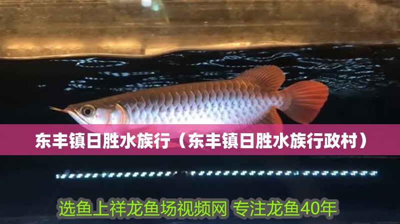 東豐鎮(zhèn)日勝水族行（東豐鎮(zhèn)日勝水族行政村）