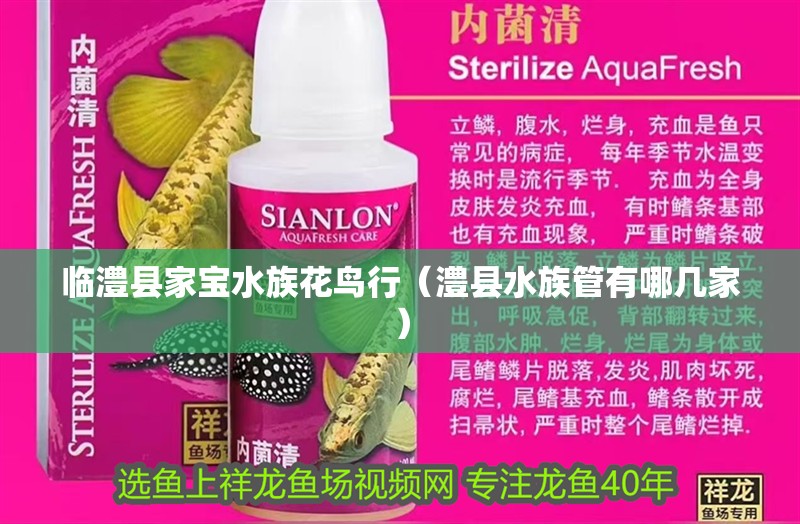 臨澧縣家寶水族花鳥行（澧縣水族管有哪幾家）