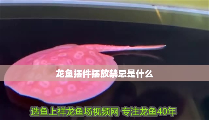 龍魚擺件擺放禁忌是什么